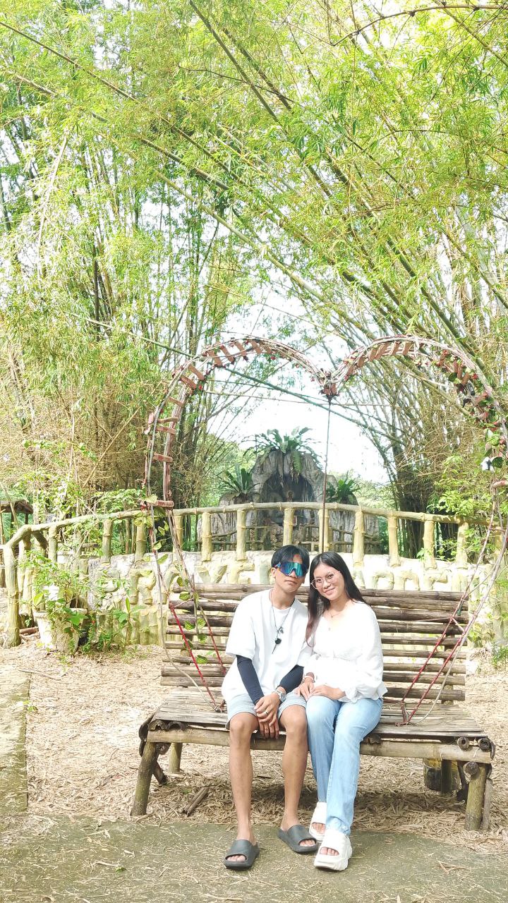 Bamboo 4